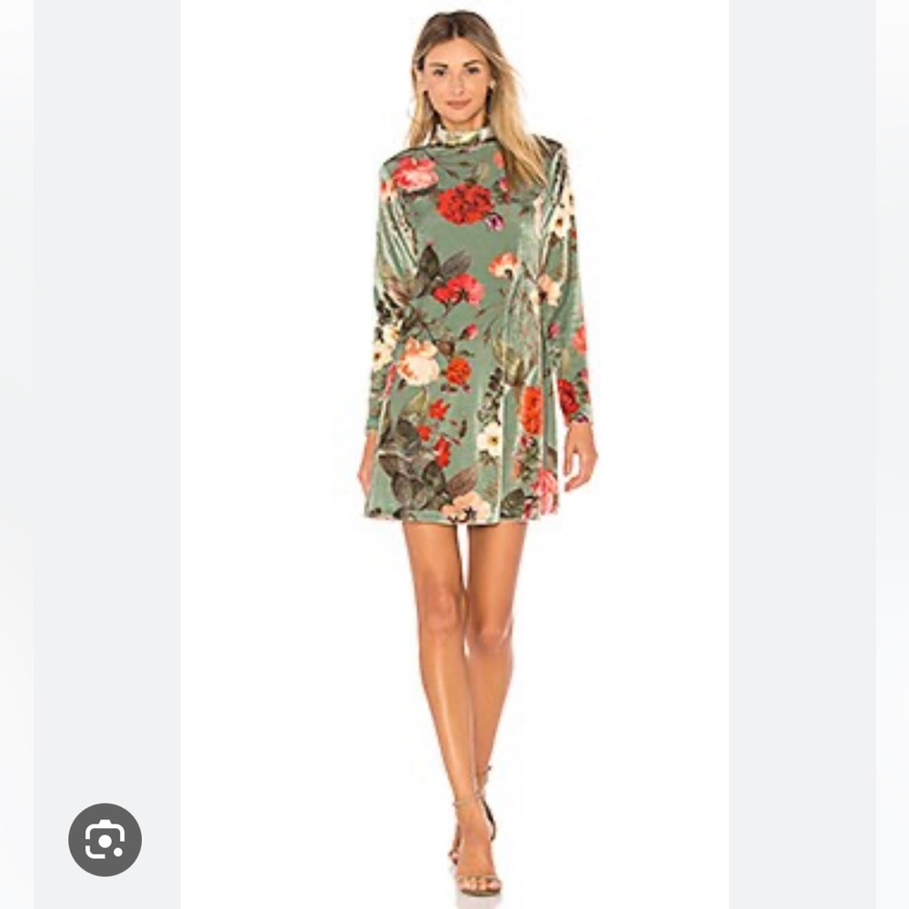 Revolve Velvet Floral Dress